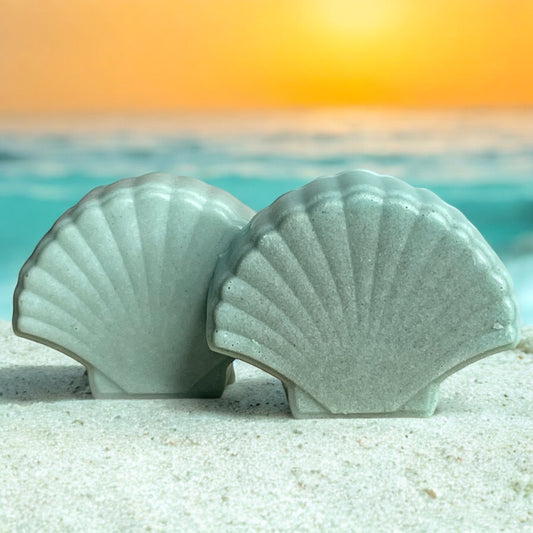 Seashell Pumice Stone Soap